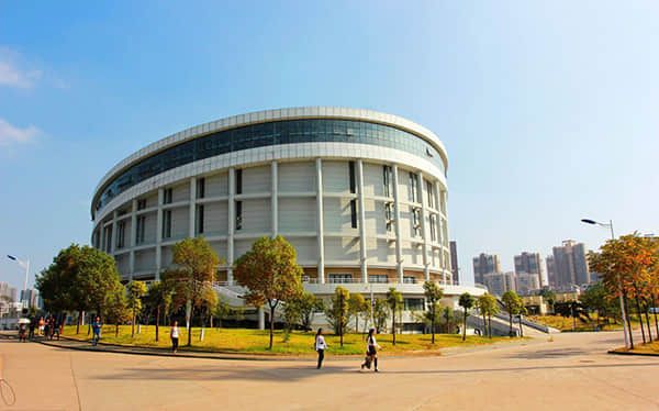 青年巧思展新意 中外交融述新春