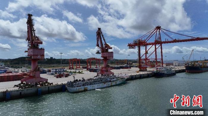 福建平潭口岸首艘南太平洋岛国远洋渔船入境通关