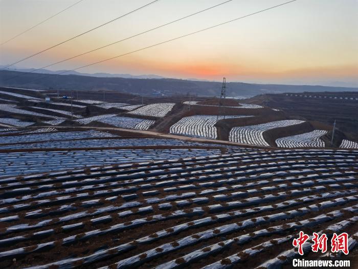 （聚焦中国高质量发展）“土特产”变身“科技范” 河南乡村特色产业探新路