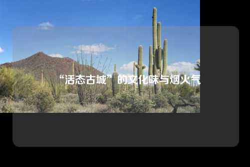 “活态古城”的文化味与烟火气